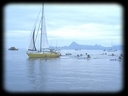 Depart de Tahiti en solitaire  pour le Cap Horn